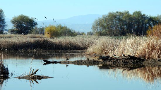 Colusa National Wildlife Refuge