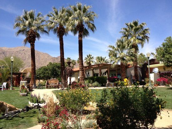 Palm Springs Koffi