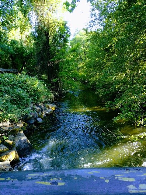 Bidwell Park One-Mile
