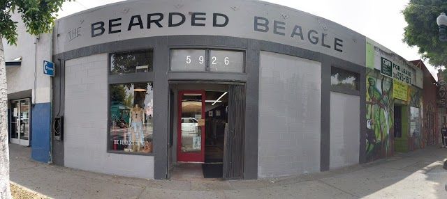The Bearded Beagle