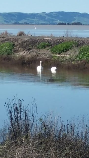 Wetlands Edge Park