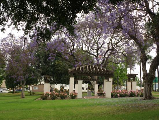 City Hall Park