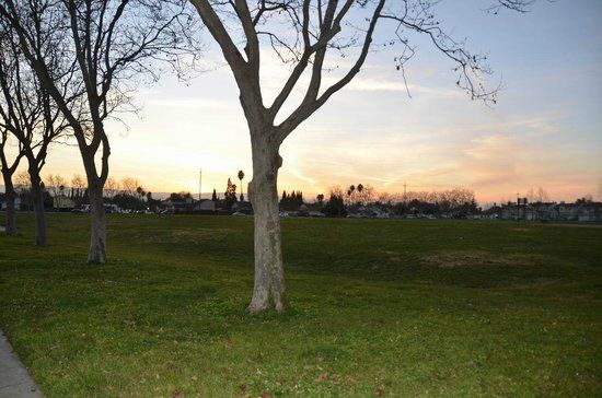 Flickinger Park