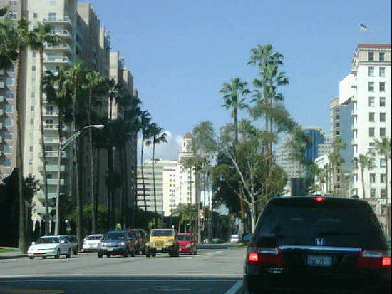 Pine Avenue