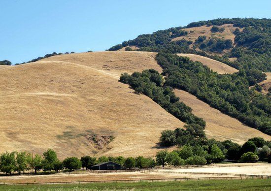 Bennett Valley