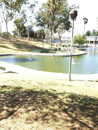 Wilson Park