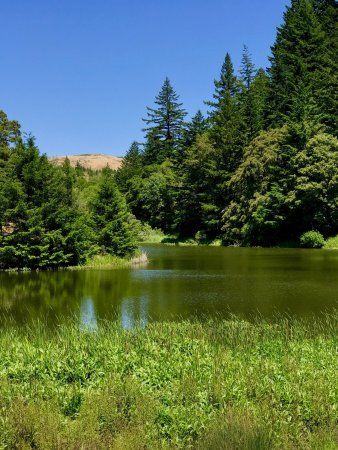 Horseshoe Lake