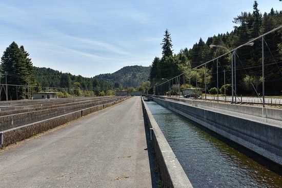 Mad River Hatchery