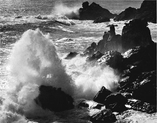 Alinder Gallery of Photography