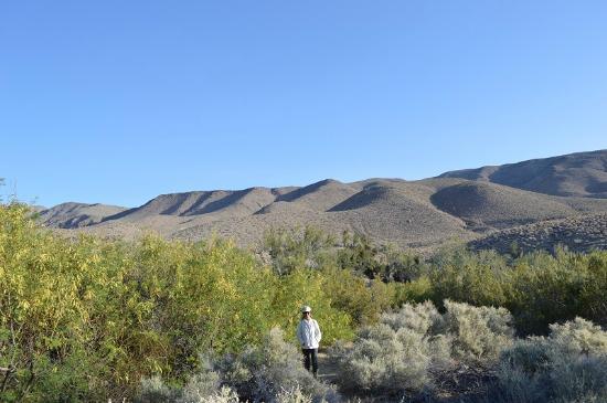 Yaqui Well