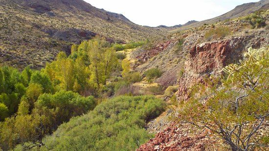 Fort Piute