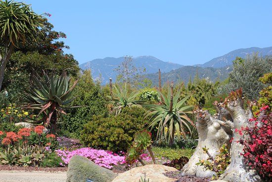 Seaside Gardens