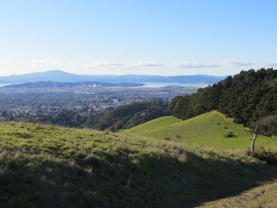 Wildcat Canyon Regional Park