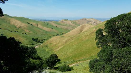 Black Diamond Mines Regional Preserve