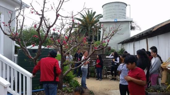 The Ecology Center