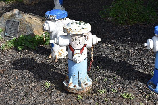 Fire Hydrant Plug Preserve