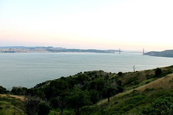 Mt. Livermore