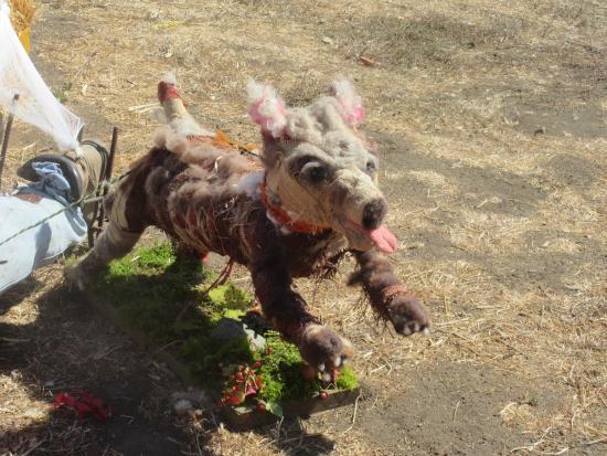 Cambria Dog Park