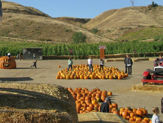 Lombardi Ranch