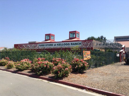 Farm Store at Kellogg Ranch