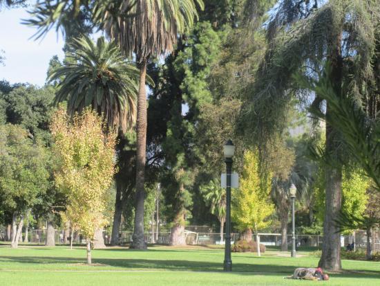 Central Park